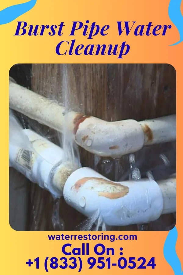 Burst Pipe Water Cleanup in Castle Rock, WA