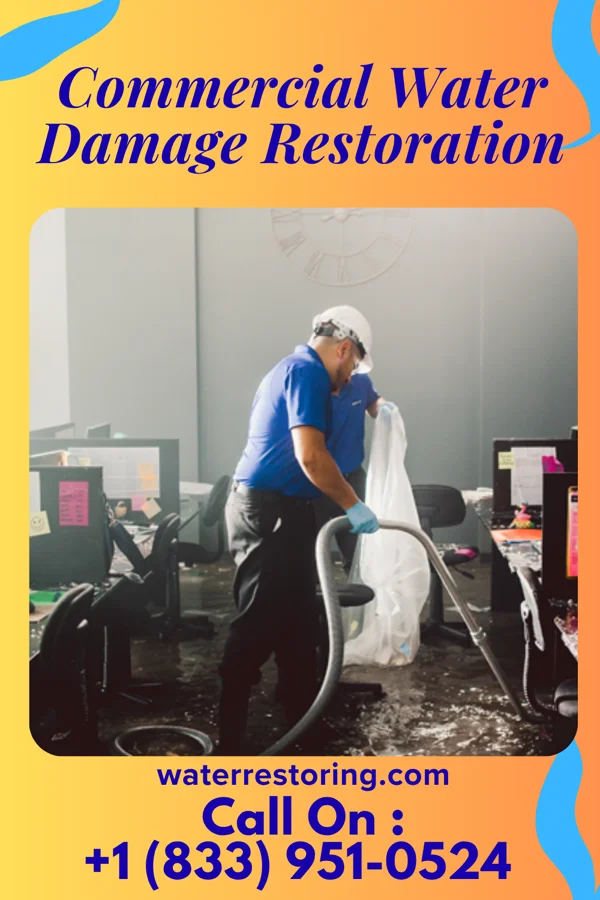 Commercial Water Damage Restoration in Castle Rock, WA