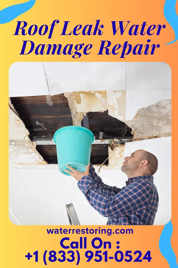 Roof Leak Water Damage Repair in Castle Rock, WA